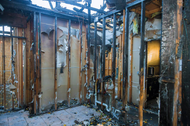 Professional Fire Damage Removal technician working in Ardmore, PA